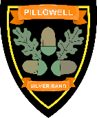 Pillowell Silver Band